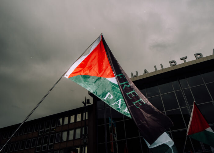Foto einer Palästina-Fahne auf der steht free Palestine